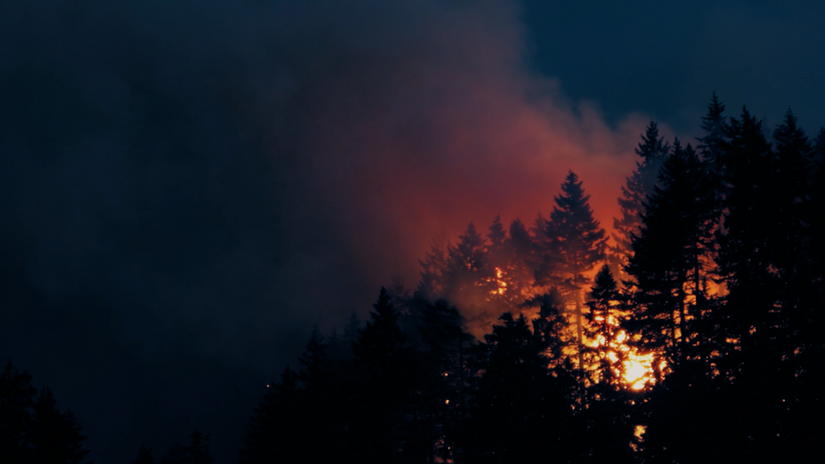 Oregon Forest Fires—Loria's Escape